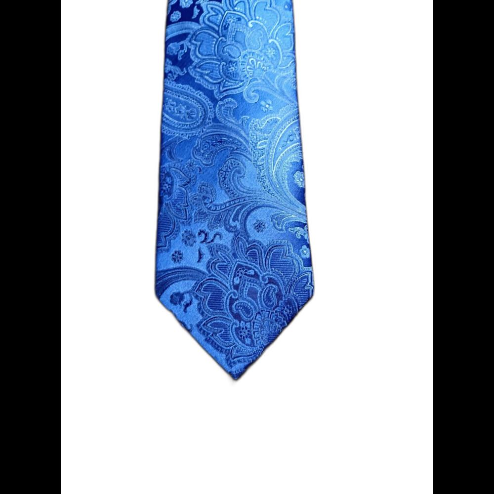 Donald J Trump Blue Paisley Silk Tie